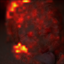 814_3_attn.png