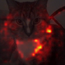 814_4_attn.png