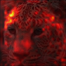 814_5_attn.png