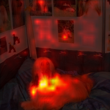 88_4_attn.png