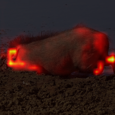 896_0_attn.png