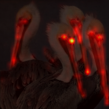 896_1_attn.png