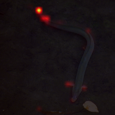 93_1_attn.png