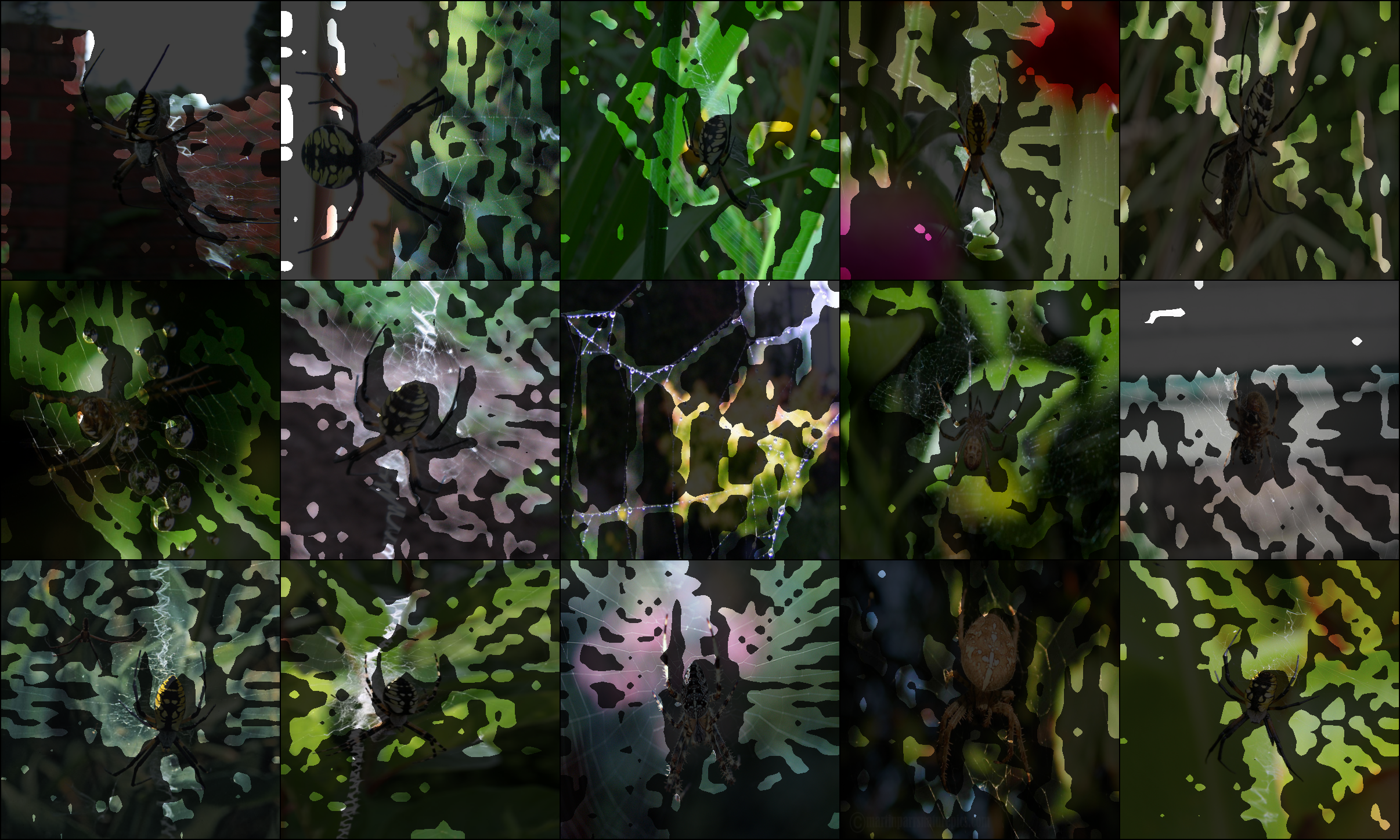 layer4-2072